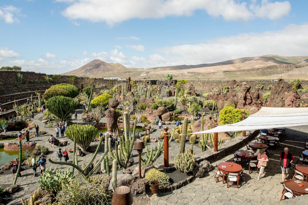 Jardin de Cactus, Lanzarote - Blog di viaggi per famiglie