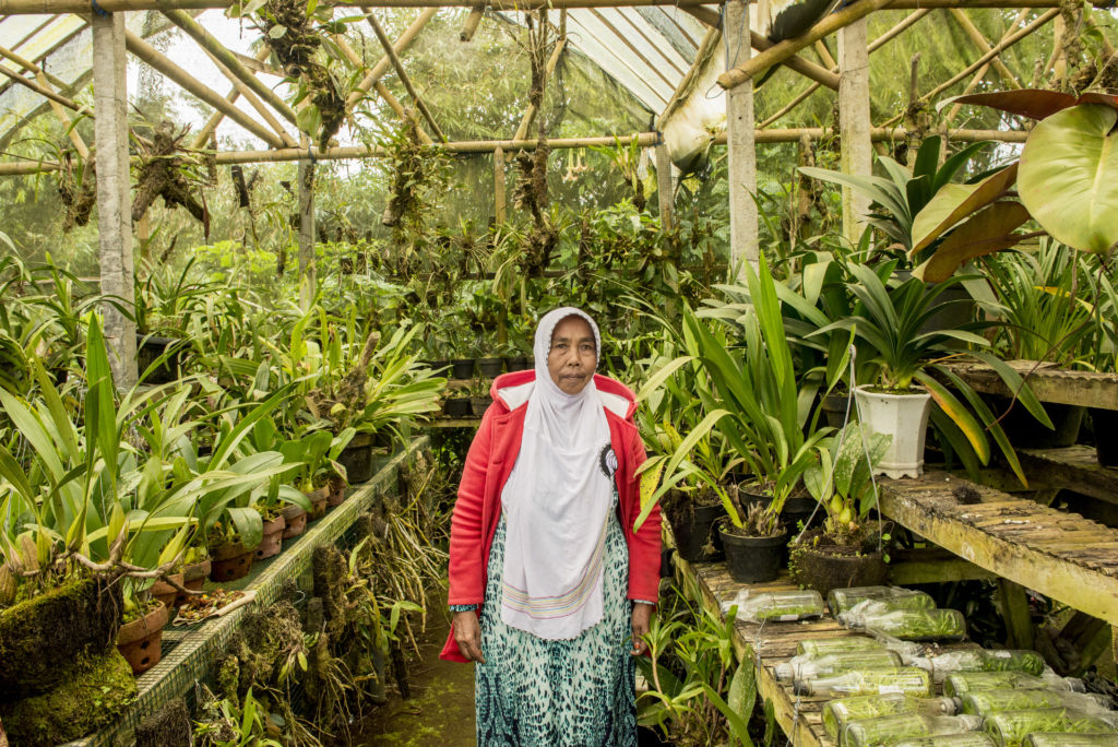 Vivaio all'ingresso del Botanical garden, Kabupaten Tabanan