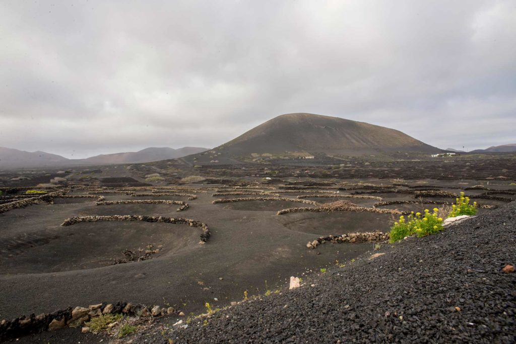 La Geria, Lanzarote