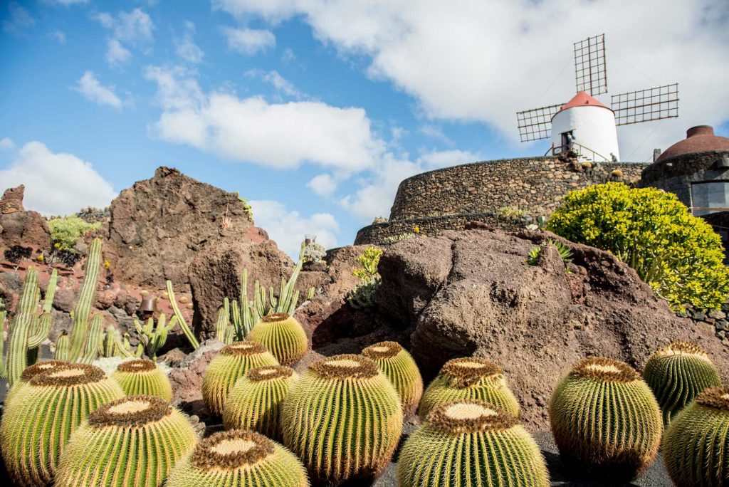 Jardin de Cactus, Lanzarote