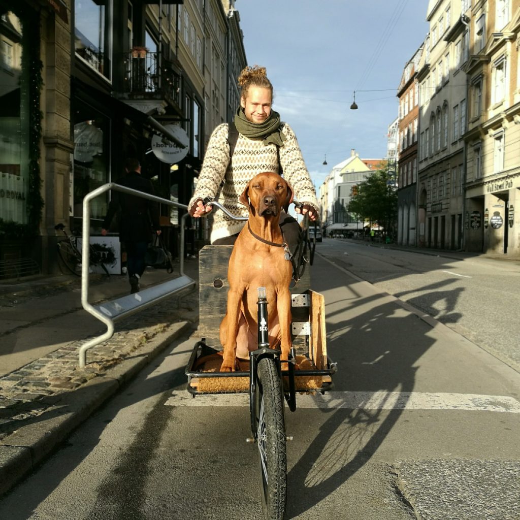 Tra le strade di Copenaghen