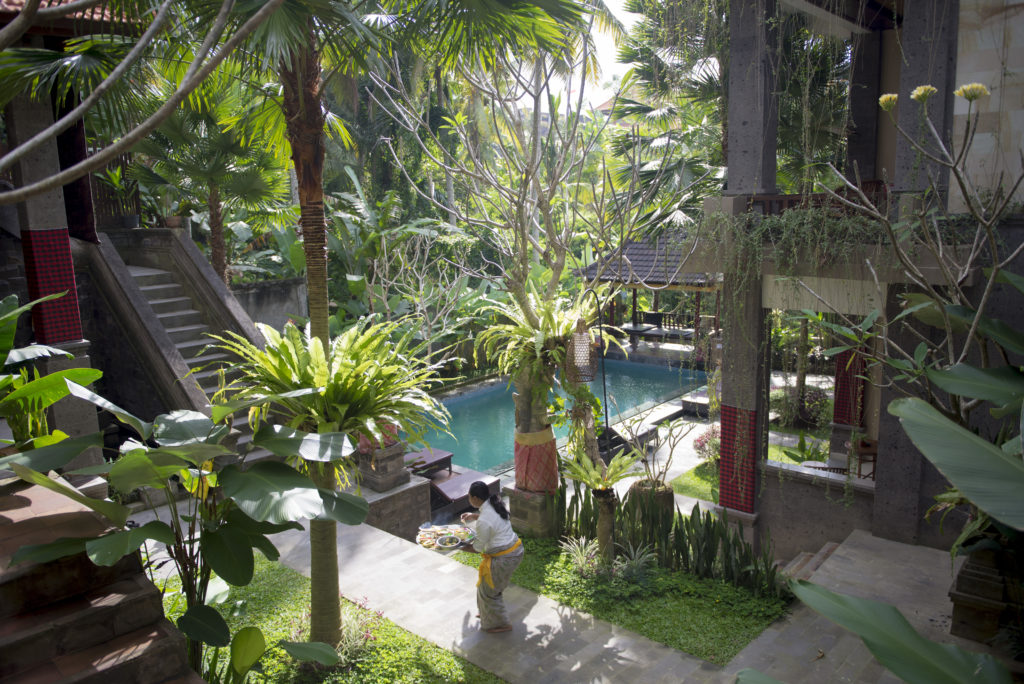 Alam Terrace Cottage, Ubud