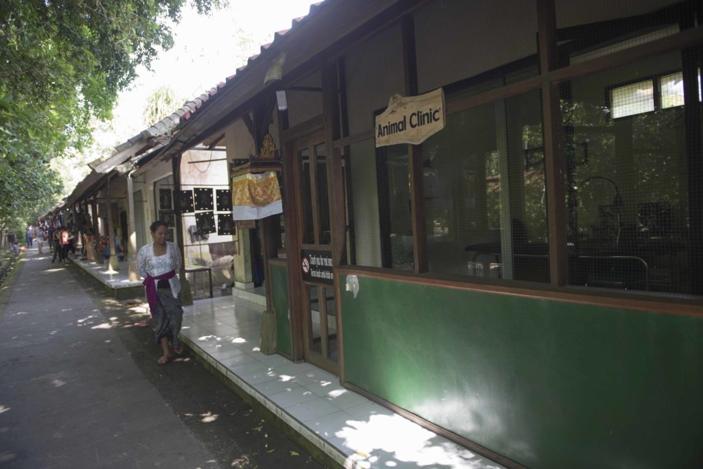 Animal clinic, Monkey Forest, Ubud