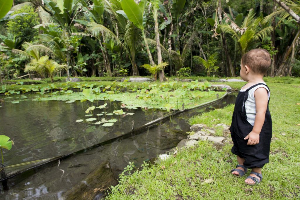 Pura Tirta Empul, Ubud