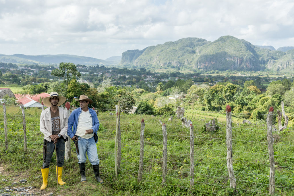 Viñales